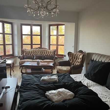 Dogs Resort And Spa Horni Bezdekov エクステリア 写真