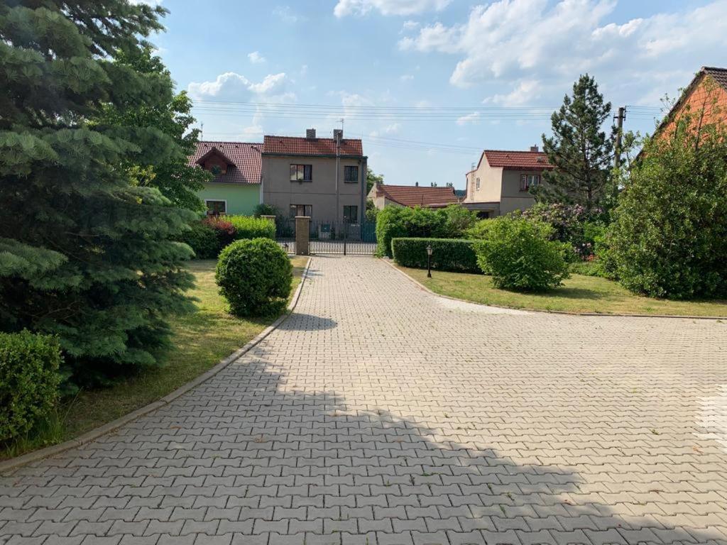 Dogs Resort And Spa Horni Bezdekov エクステリア 写真