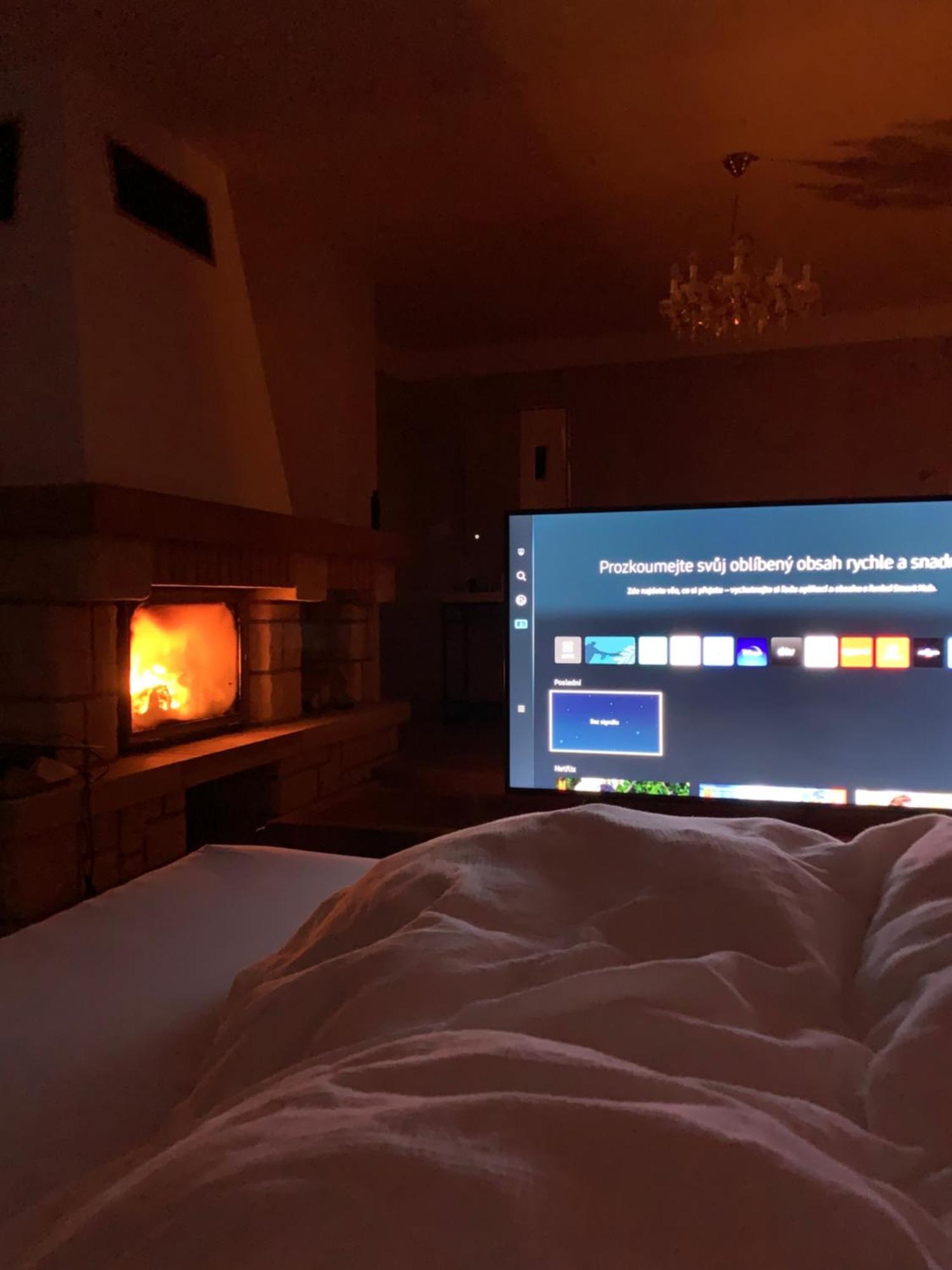 Dogs Resort And Spa Horni Bezdekov エクステリア 写真