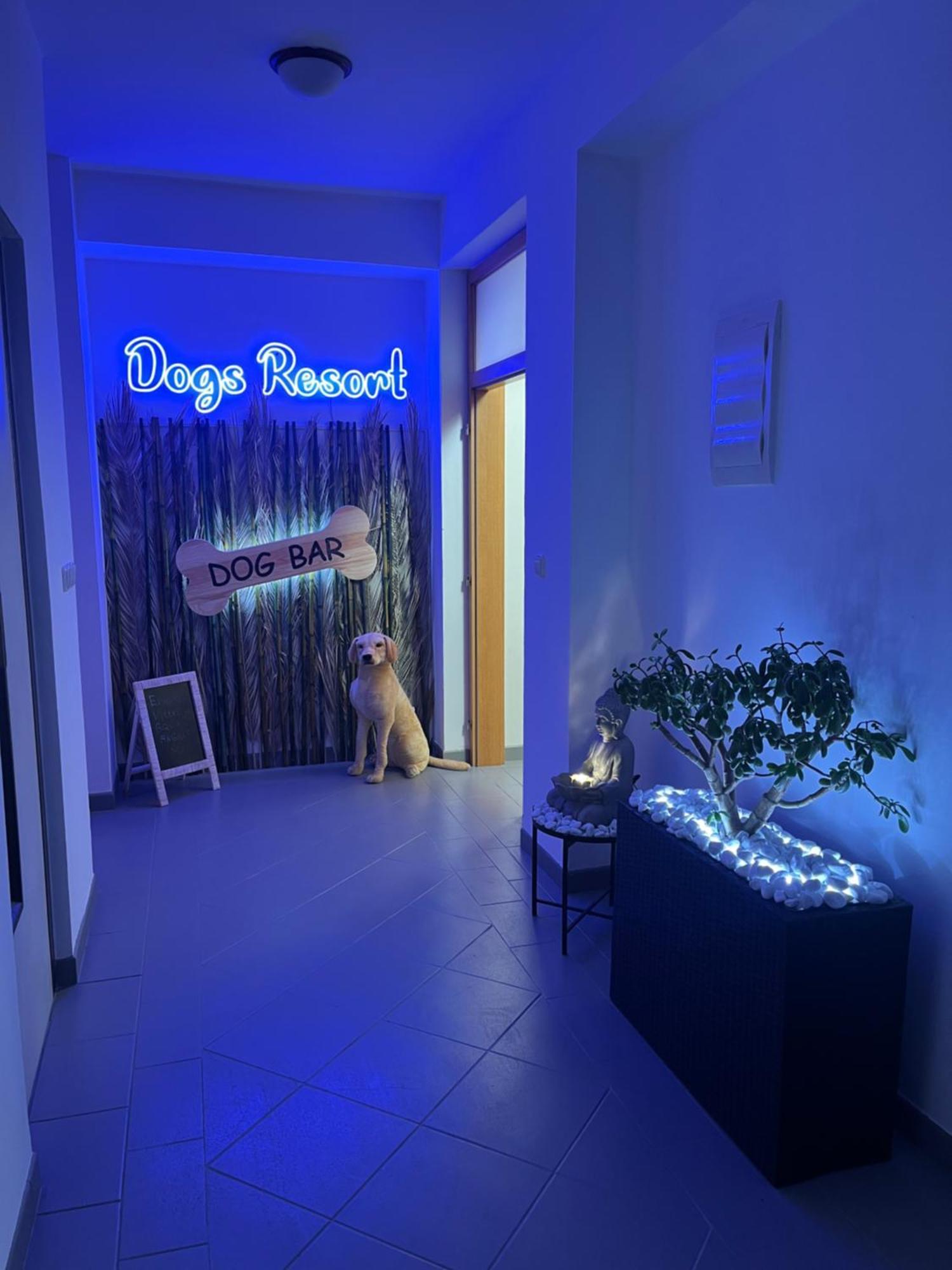 Dogs Resort And Spa Horni Bezdekov エクステリア 写真